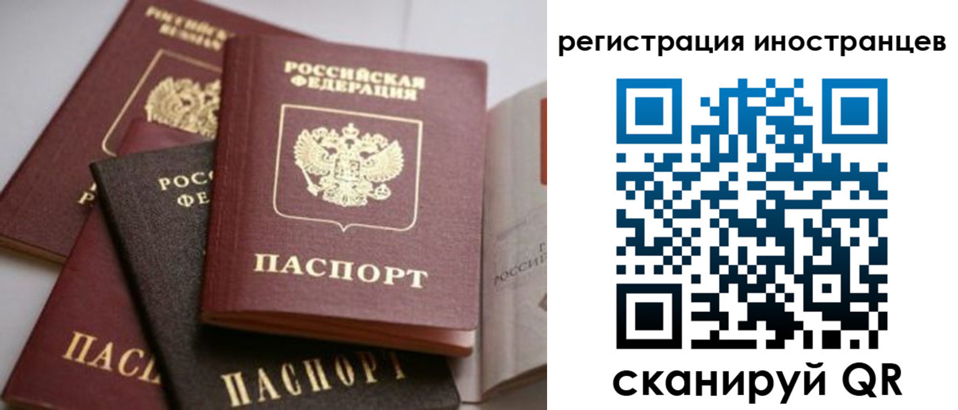 форма 3 в Борзе