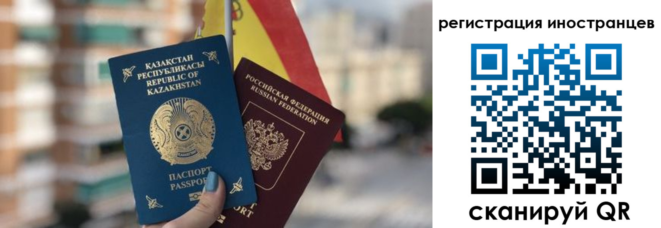 прописка паспорт в Борзе